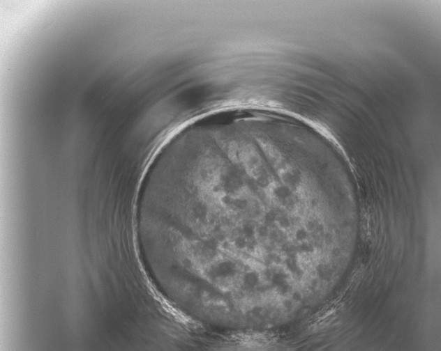 X0000059040895200510211931