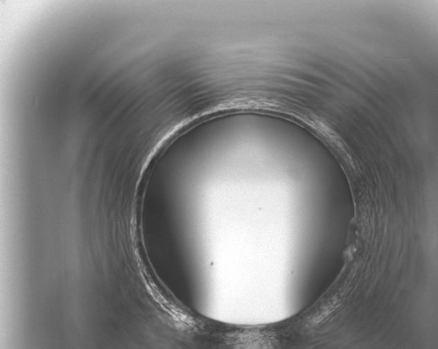 X0000059040896200510211931