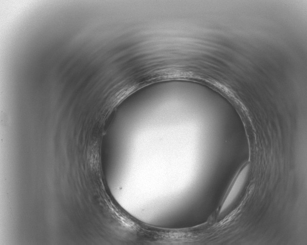 X0000059040897200510211931