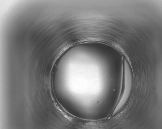 X0000059040898200510211931