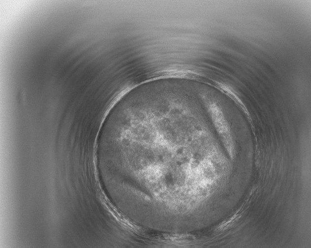 X0000059040899200510211931