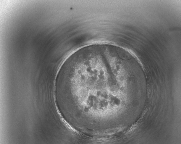 X0000059040903200510211931