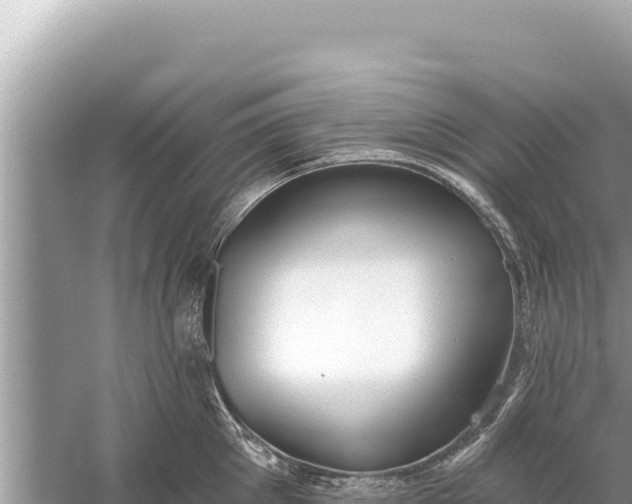 X0000059040905200510211931