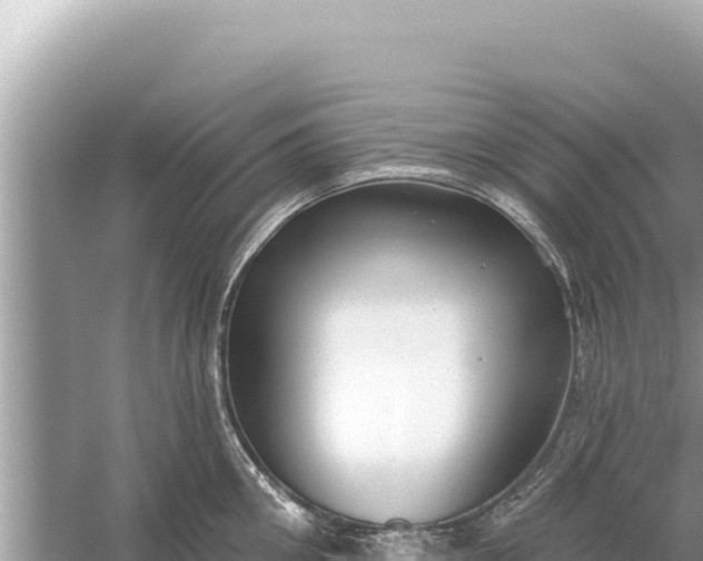 X0000059040906200510211931