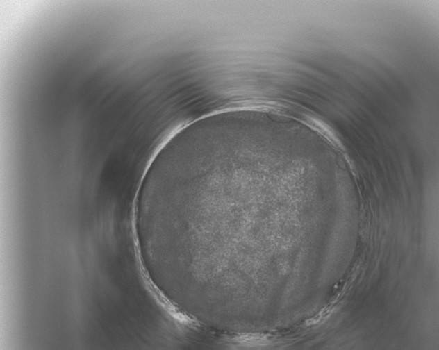 X0000059040907200510211931