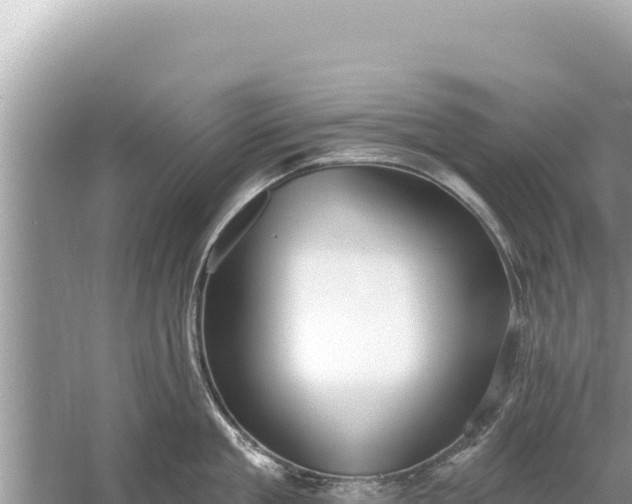 X0000059040909200510211931