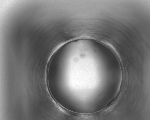 X0000059040910200510211930