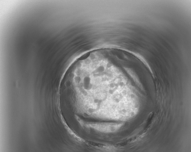 X0000059040911200510211930