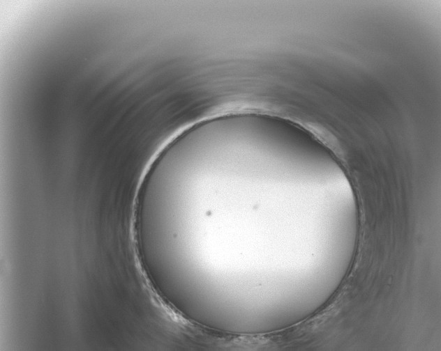 X0000059040912200510211930