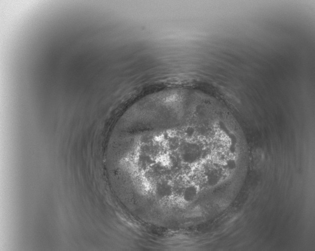 X0000059040913200510211930