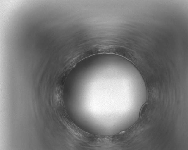 X0000059040914200510211930