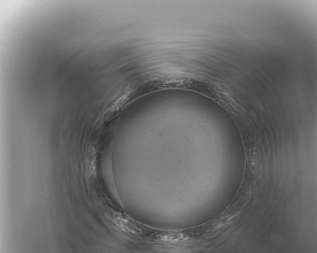 X0000059040916200510211930