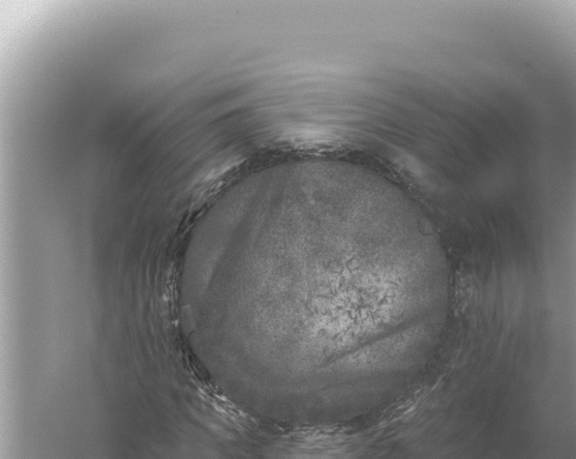 X0000059040917200510211930