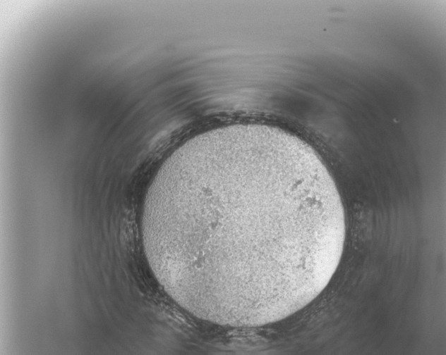 X0000059040918200510211930