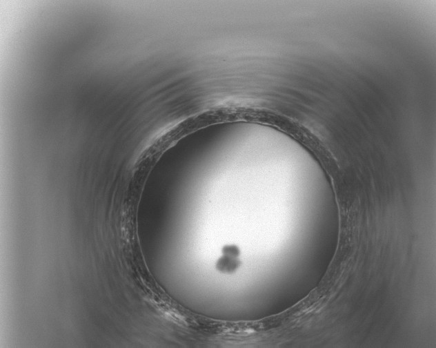 X0000059040919200510211930