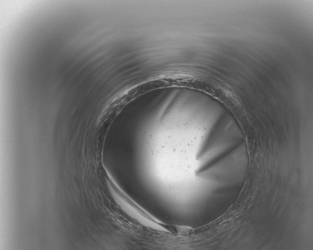 X0000059040920200510211930