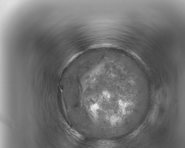 X0000059040921200510211930