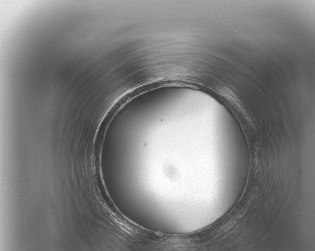 X0000059040924200510211930