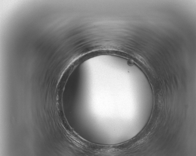 X0000059040926200510211930