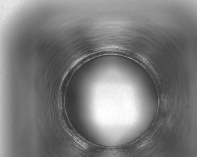 X0000059040931200510211930