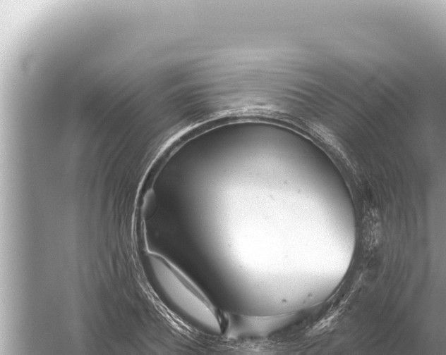 X0000059040932200510211930