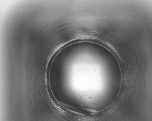 X0000059040935200510211930