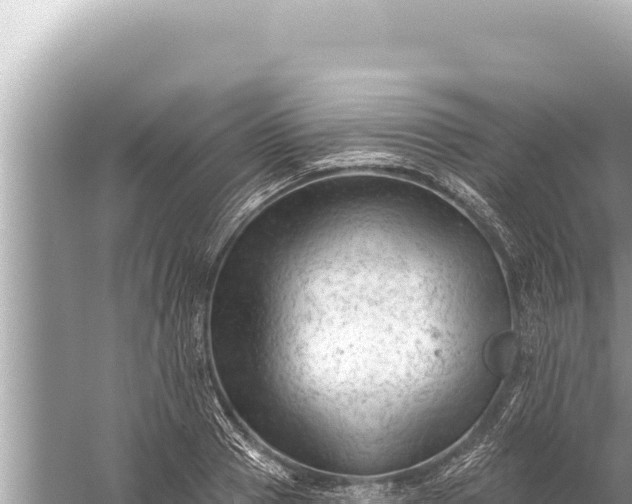 X0000059040937200510211930