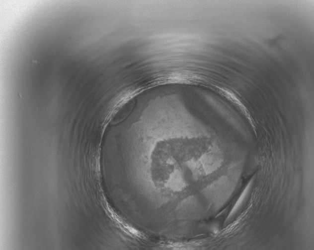 X0000059040938200510211930