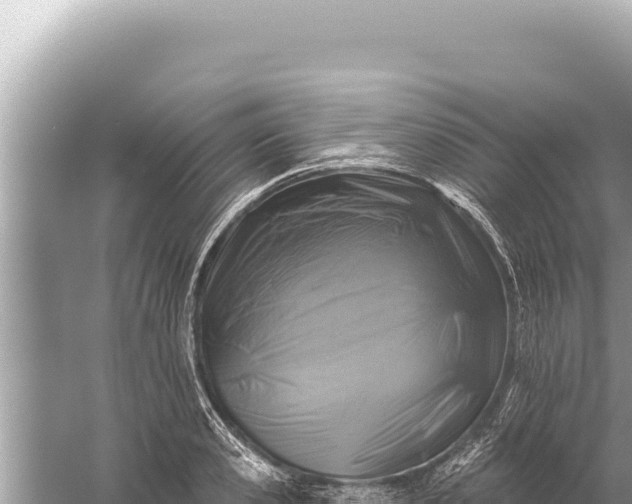 X0000059040941200510211930