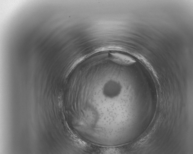 X0000059040945200510211930