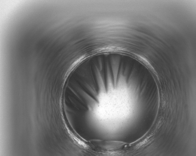 X0000059040946200510211930