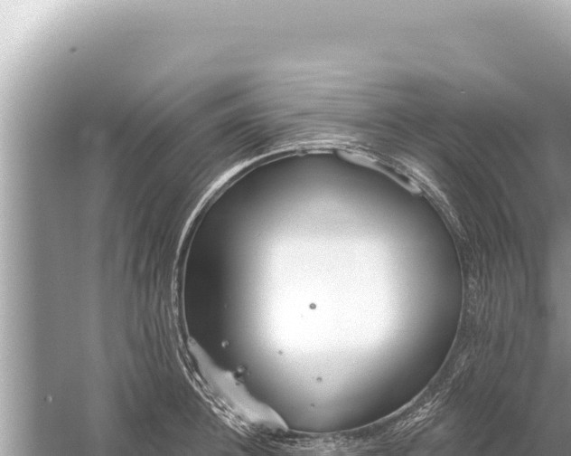 X0000059040948200510211930