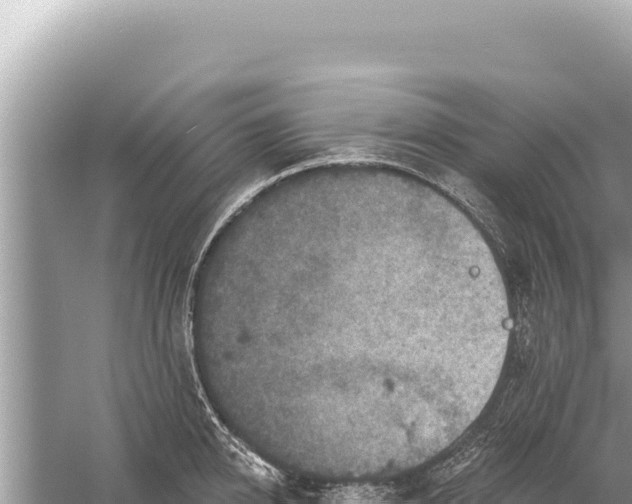 X0000059040950200510211930