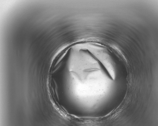 X0000059040952200510211930