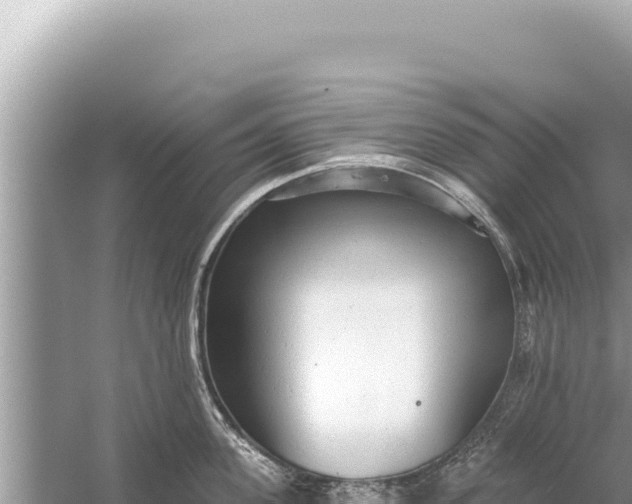 X0000059040955200510211930