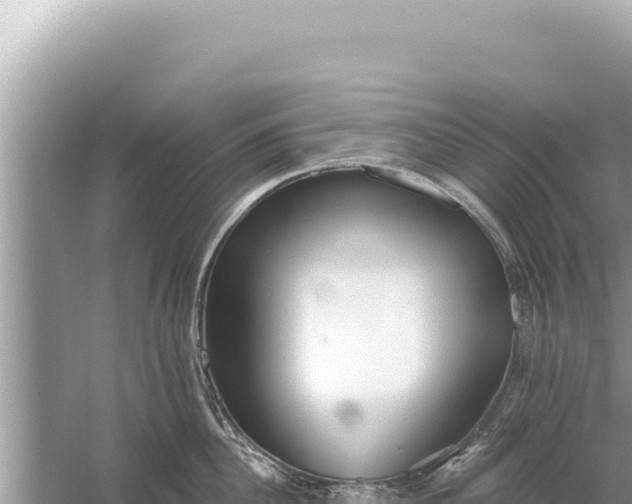 X0000059040956200510211930