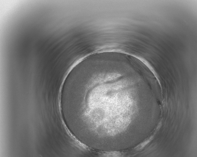 X0000059040957200510211930