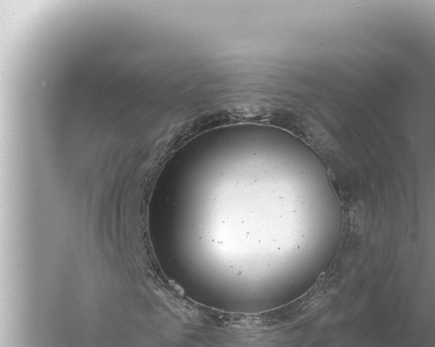 X0000059040961200510211930