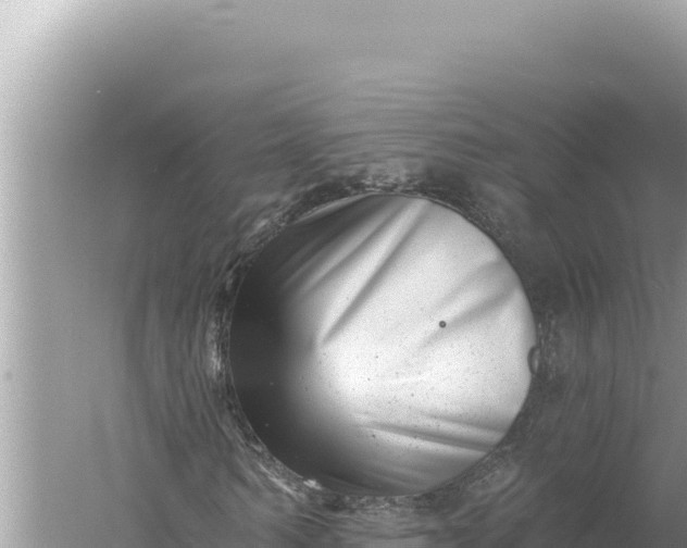 X0000059040962200510211930