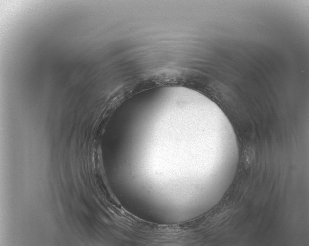 X0000059040964200510211930