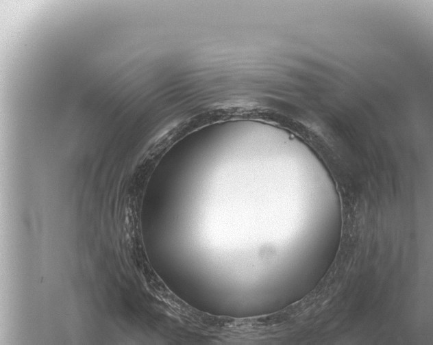 X0000059040967200510211930