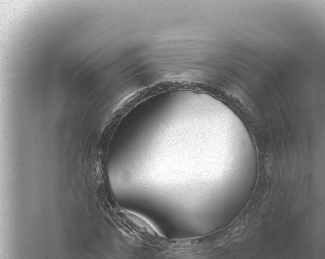 X0000059040968200510211930