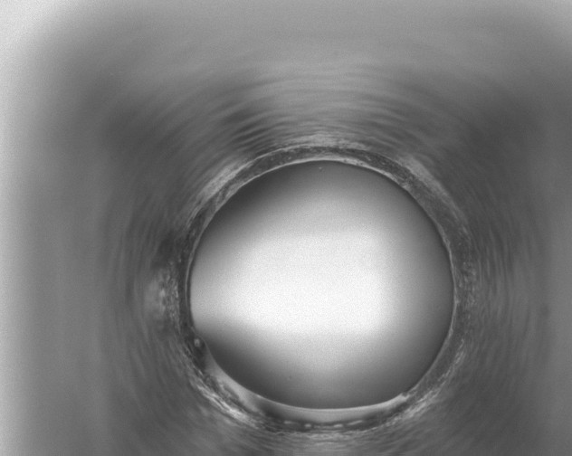 X0000059040969200510211929