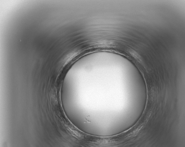 X0000059040970200510211929