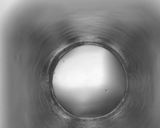 X0000059040971200510211929