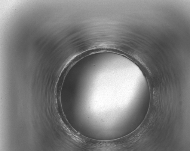 X0000059040972200510211929