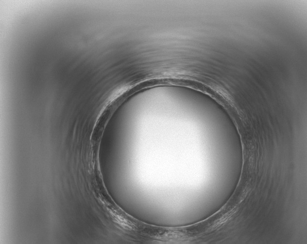 X0000059040974200510211929