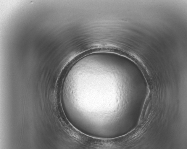 X0000059040975200510211929