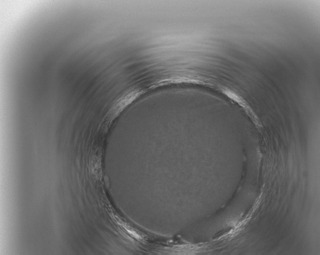 X0000059040977200510211929