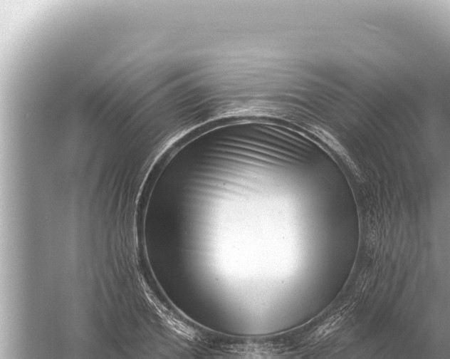 X0000059040980200510211929